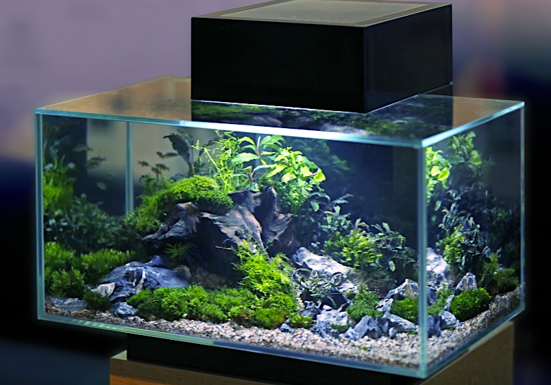 How to Use Gorilla Glue Safely on Fish Tanks 