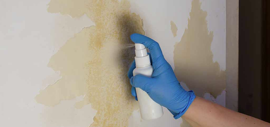 7 Steps To Remove Adhesive From A Painted Wall Without Damaging Paint