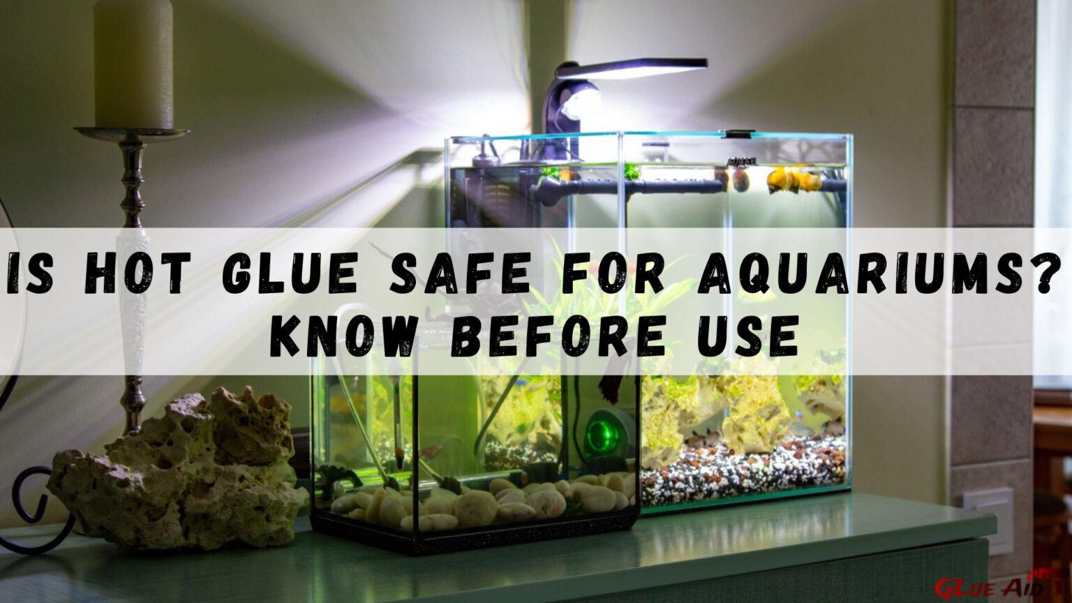 Is Hot Glue Safe For Aquariums? Know Before Use