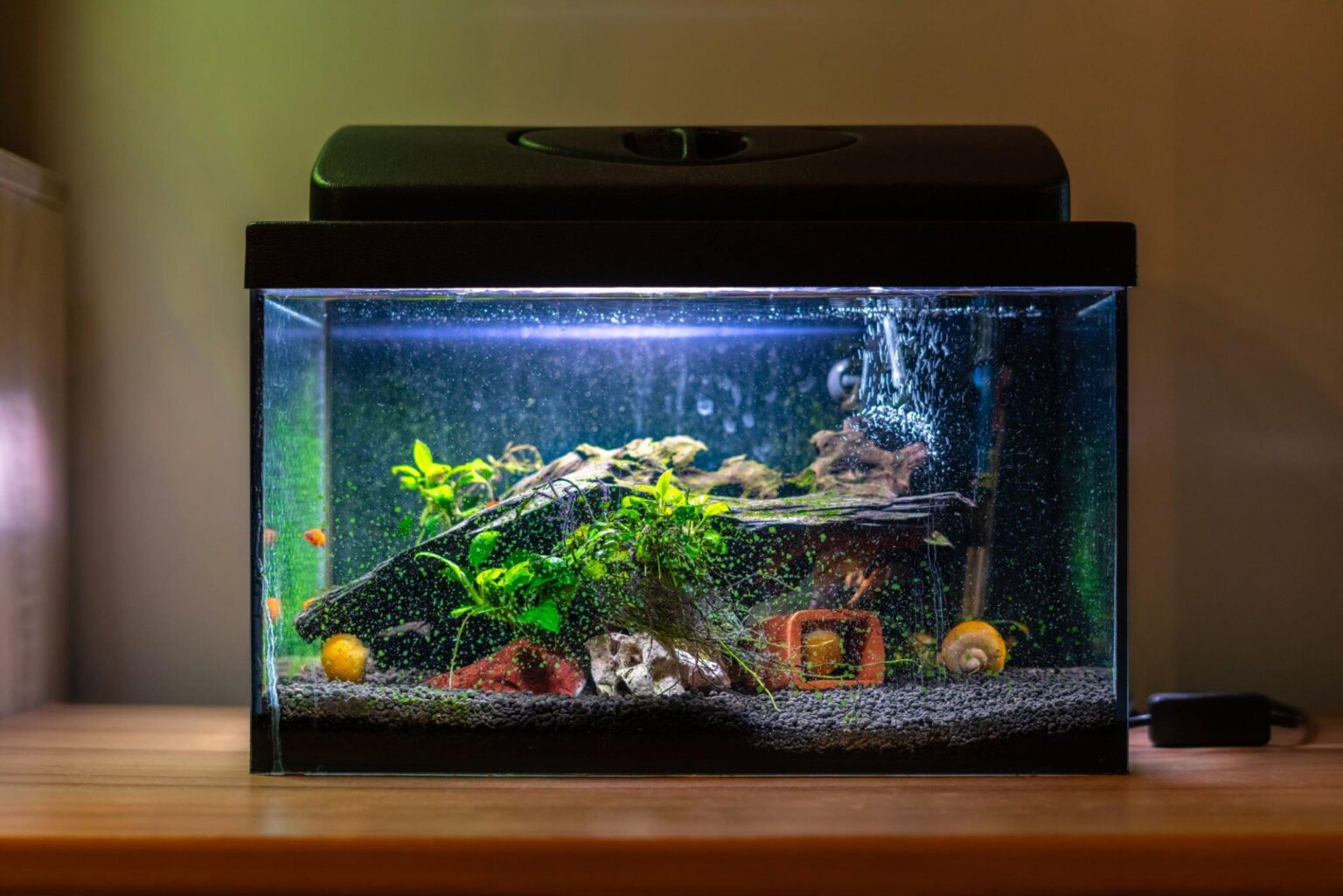 Is Hot Glue Safe For Aquariums? Know Before Use