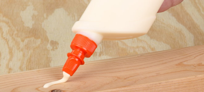 FAQs About How To Make Dry Glue Wet Again?