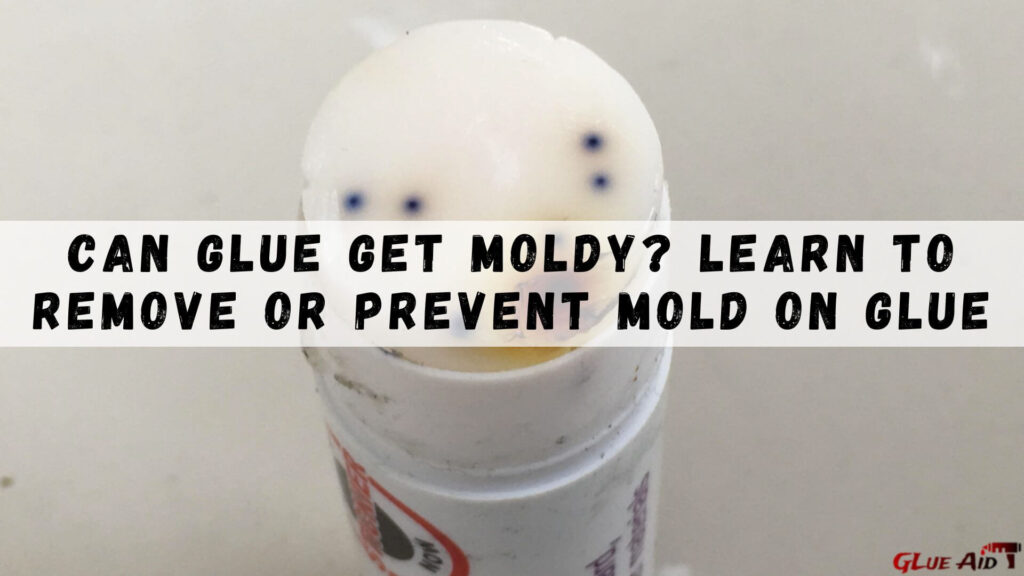 Can Glue Get Moldy? Learn To Remove Or Prevent Mold On Glue