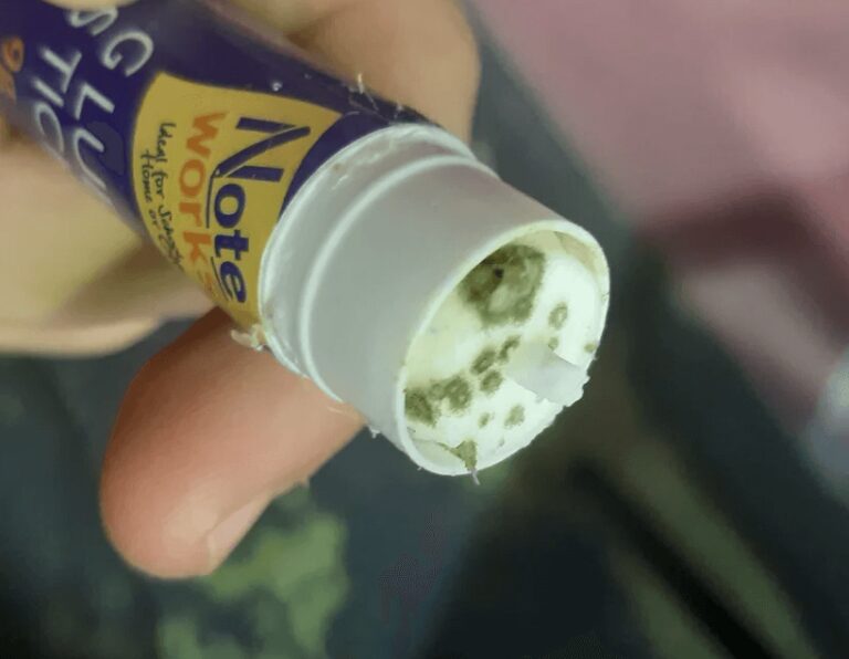 Can Glue Get Moldy? Learn To Remove Or Prevent Mold On Glue
